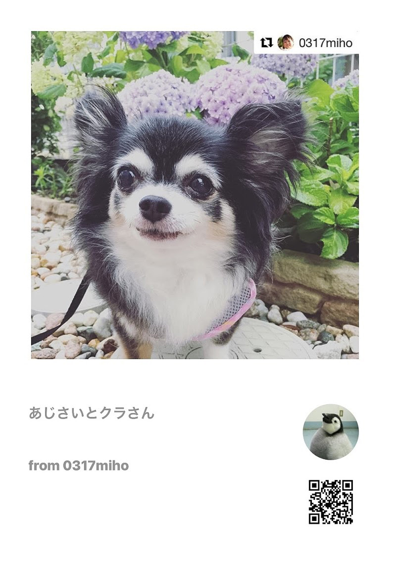 私的BiziCard活用LIFE Instagram写真プリント編 第6話